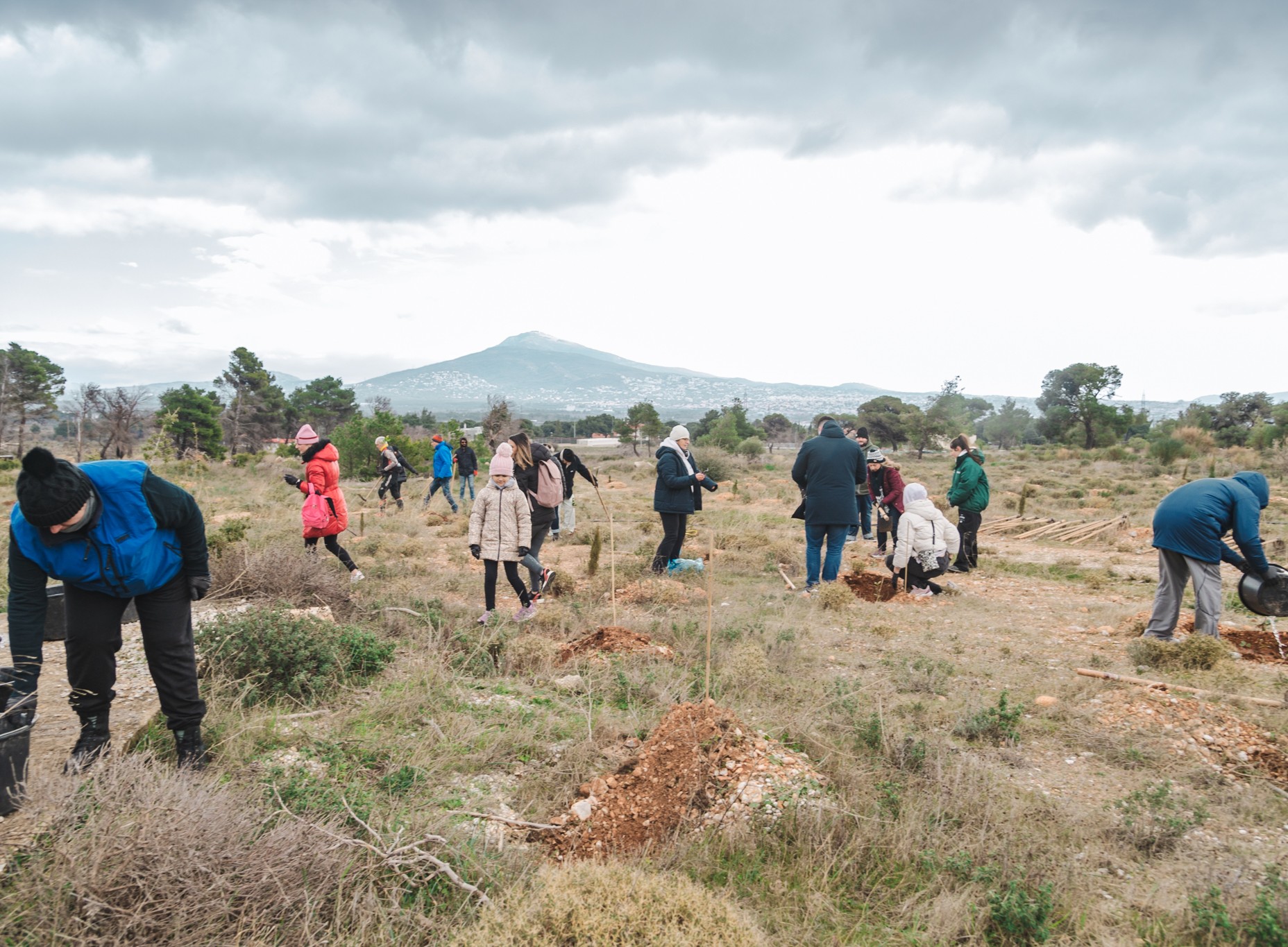 ATHEX tree planting 